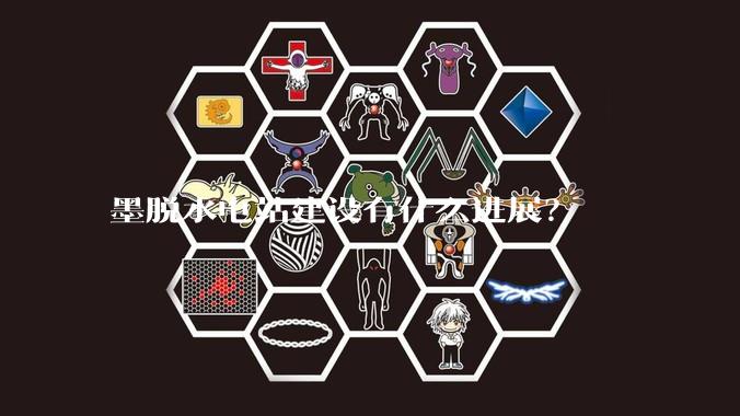 墨脱水电站建设有什么进展？